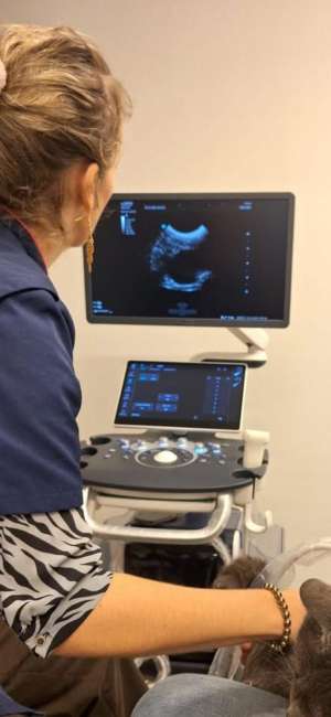 Cabinet vétérinaire du docteur Wiertz