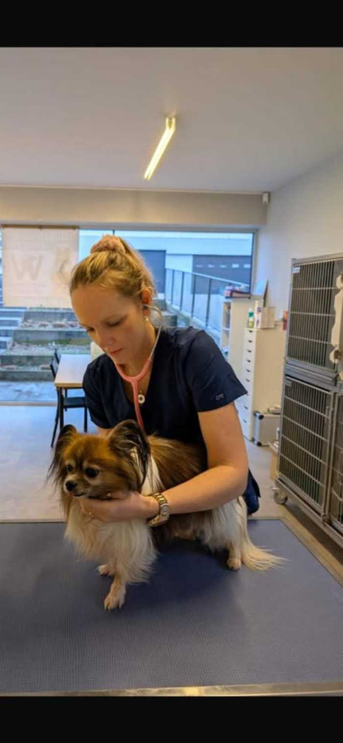 Cabinet vétérinaire du docteur Wiertz